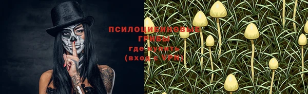 PSILOCYBIN Алзамай