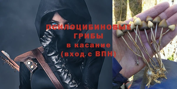 PSILOCYBIN Алзамай