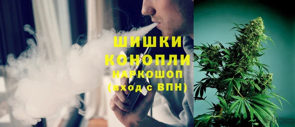 PSILOCYBIN Алзамай