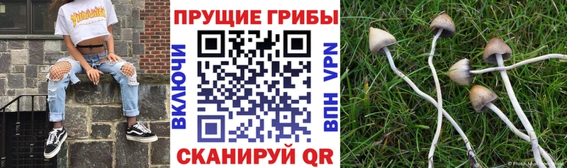мега ССЫЛКА  Старый Оскол  Галлюциногенные грибы Magic Shrooms 